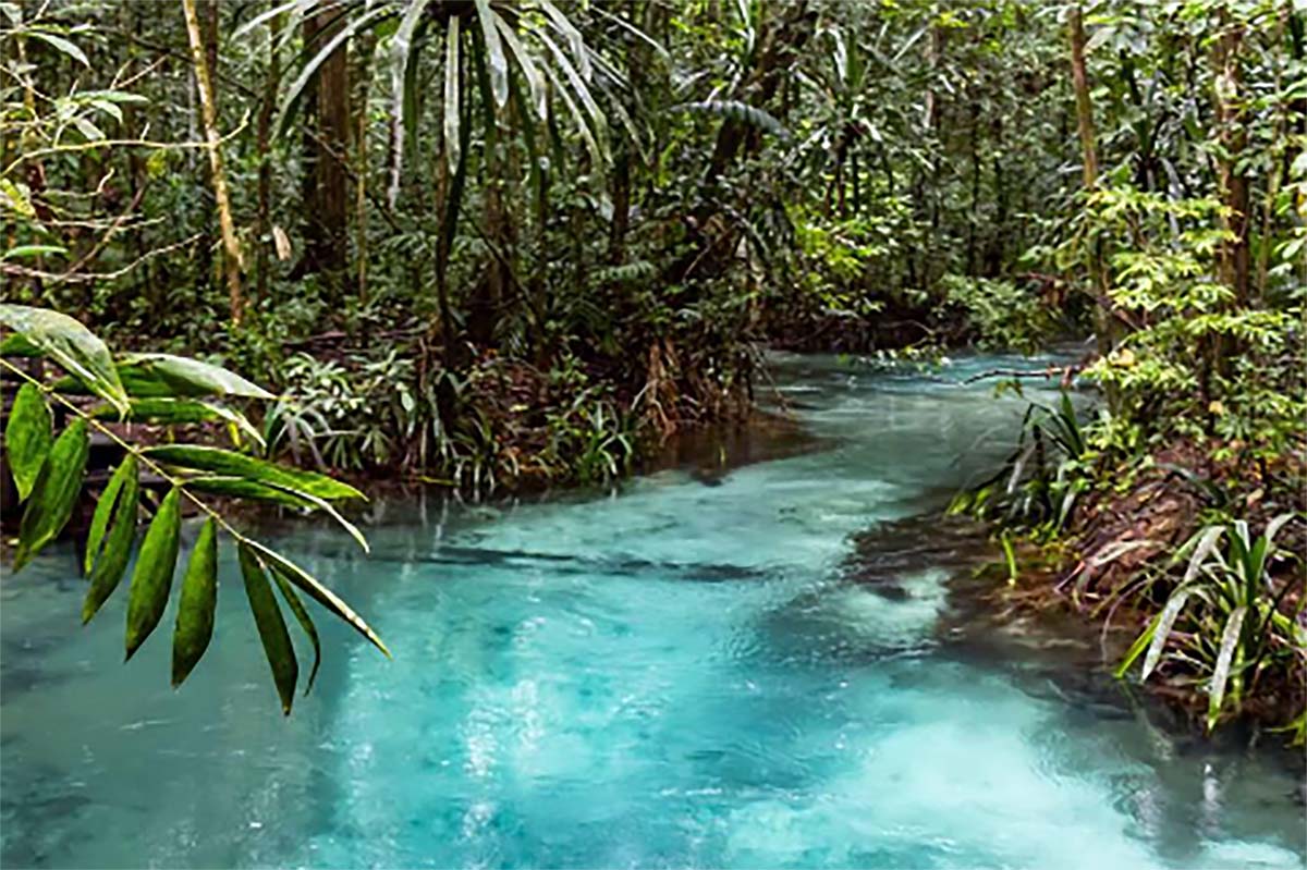 Sungai Paling Jernih Berwarna Biru di Indonesia Yang Diyakini Dijaga Buaya Putih