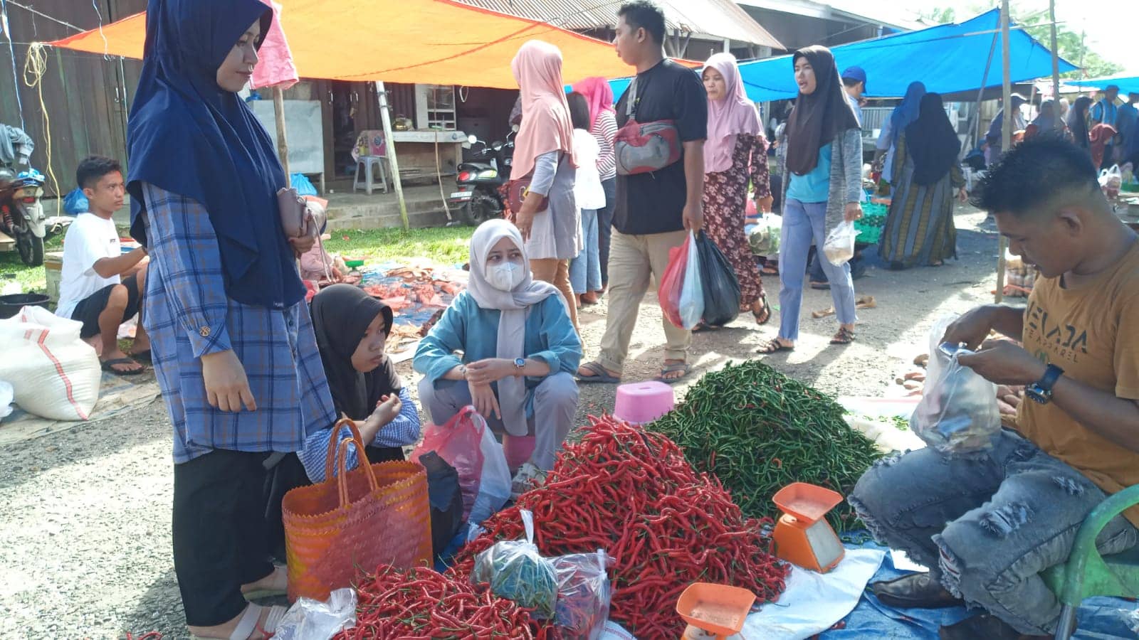 Harga Cabai Anjlok, Petani Mukomuko Terancam Gulung Tikar