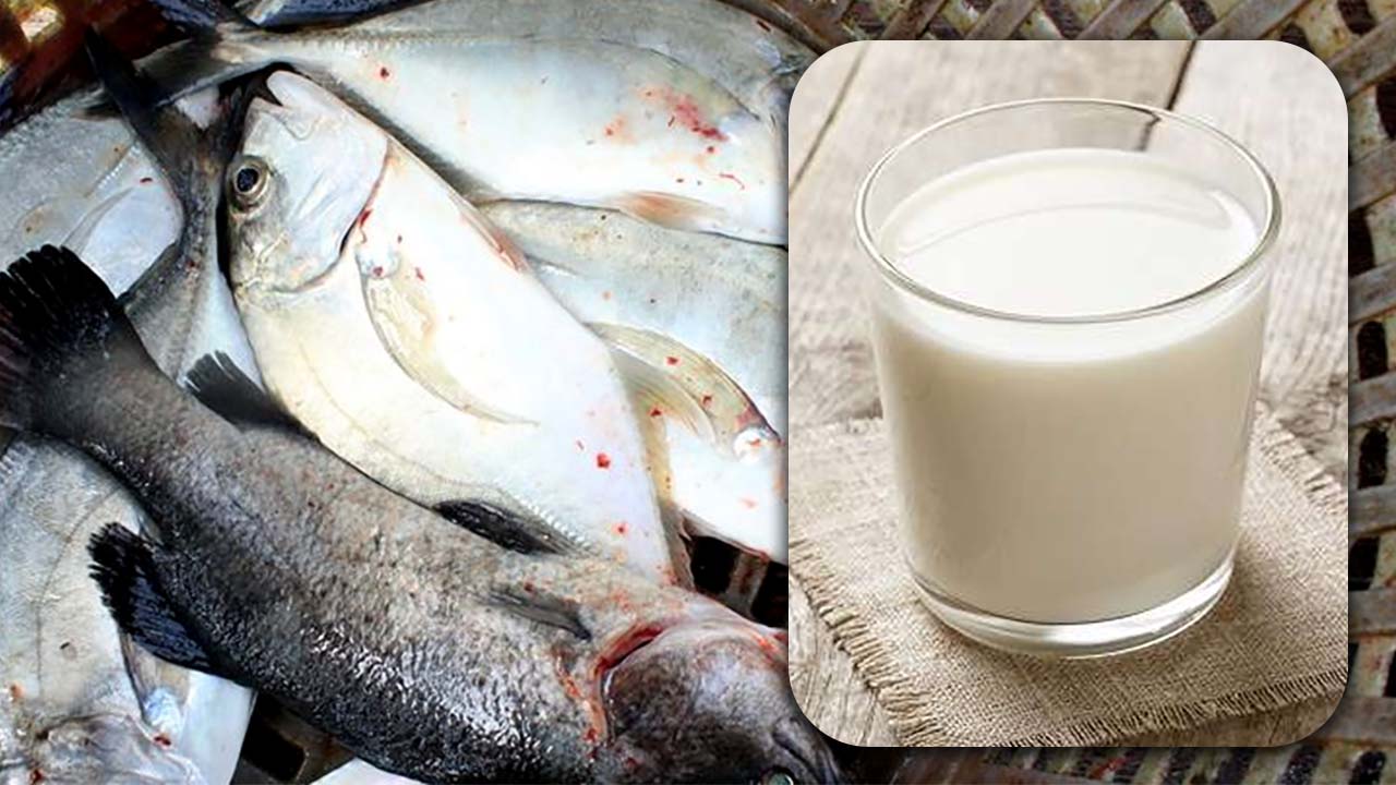 Proses Pembuatan Susu Ikan yang Memiliki Segudang Manfaat bagi Kesehatan 