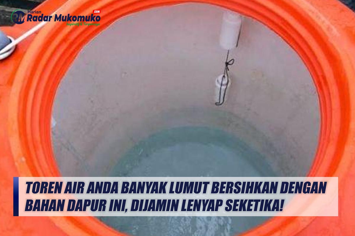 Toren Air Anda Banyak lumut Bersihkan dengan Bahan Dapur Ini, Dijamin Lenyap Seketika!