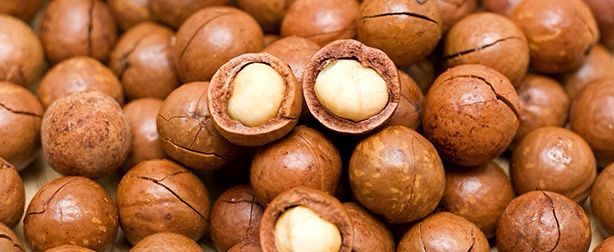 Tips Memilih dan Menyimpan Kacang Macadamia yang Berkualitas: Utuh, Tidak Tengik, dan Kering!