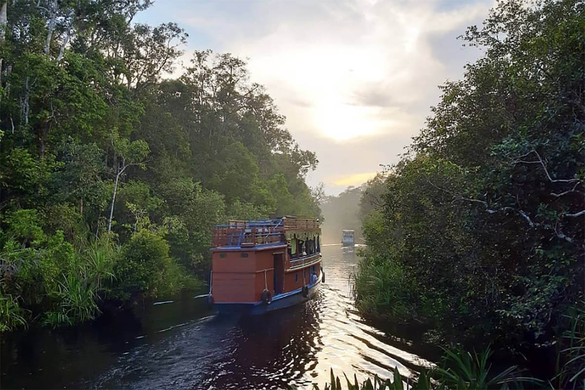 Sungai Sekonyer, Wisata  Susur Sungai Deras dan Seru Melintasi Kehidupan Orangutan di Kalteng