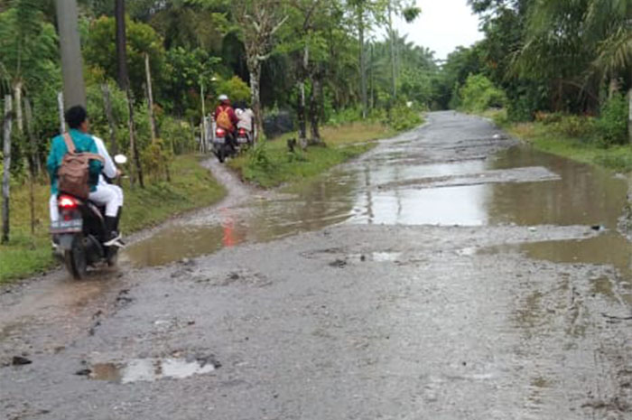 Pemprov Bangun Jalan Mukomuko Rp 3,7 Miliar, Cek Lokasinya