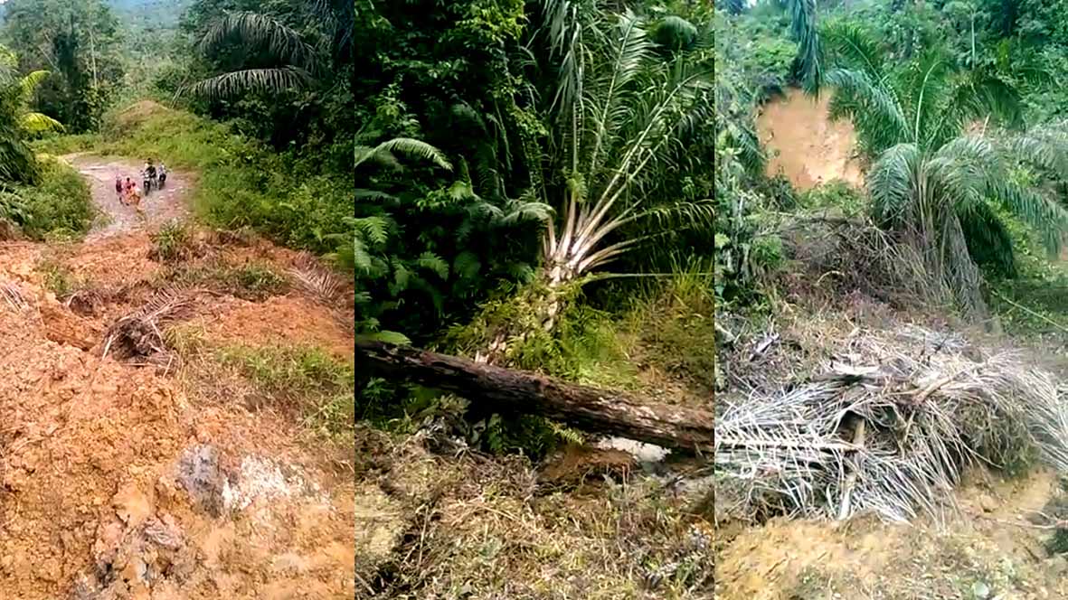 Akibat Longsor, Akses Suka Maju – Sindang Mulyo Lumpuh 