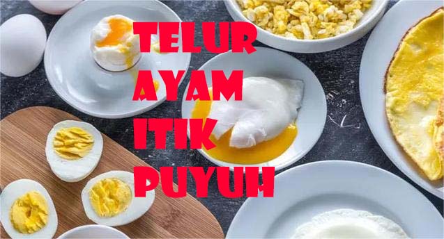 Telur Ayam, Telur Bebek dan Telur Puyuh, Bagus mana?