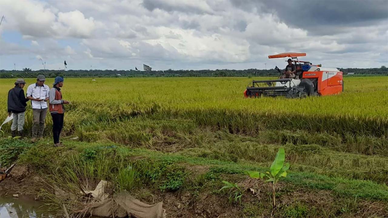 Penyuluh Pertanian Bakal Ditarik Menjadi Pegawai Tetap Kementan 