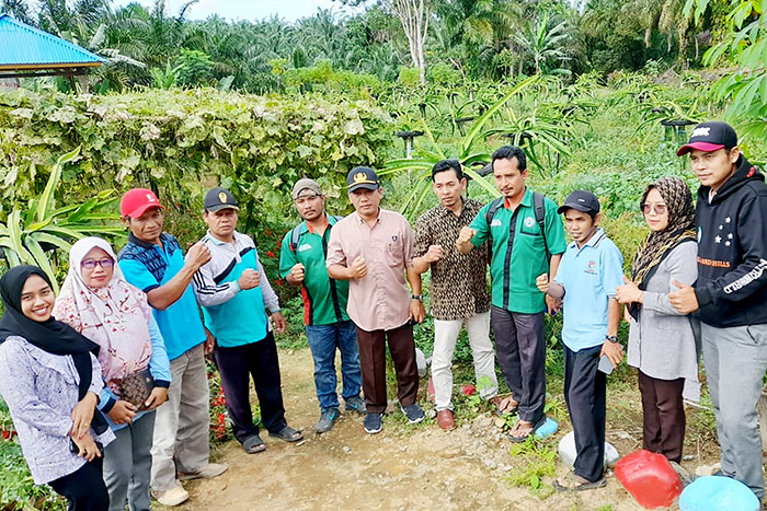 Program Ketahanan Pangan Desa Sumber Mulya Tanam Berbagai Jenis Sayuran