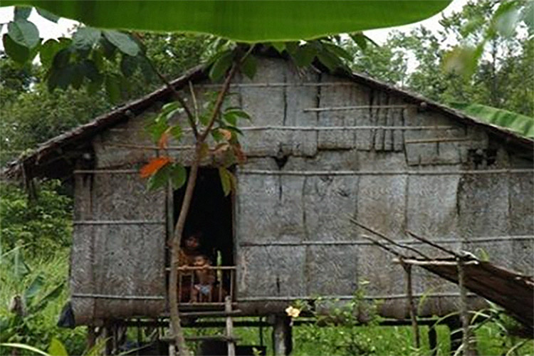 Suku Talang Mamak, Penjaga Hutan yang Hidup Terjempit