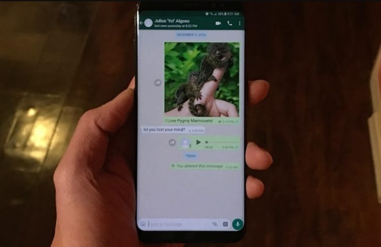 Yang Ditunggu-tunggu! WhatsApp Kini Bisa Memgirim Foto HD dengan Kualitas Tinggi, Tersedia di Beta