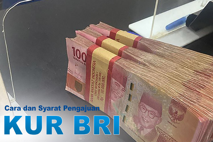 Pinjam KUR BRI Rp 45 Juta Angsuran Mulai Rp 800 Ribuan, Berikut Rincian Angsuran Terbaru