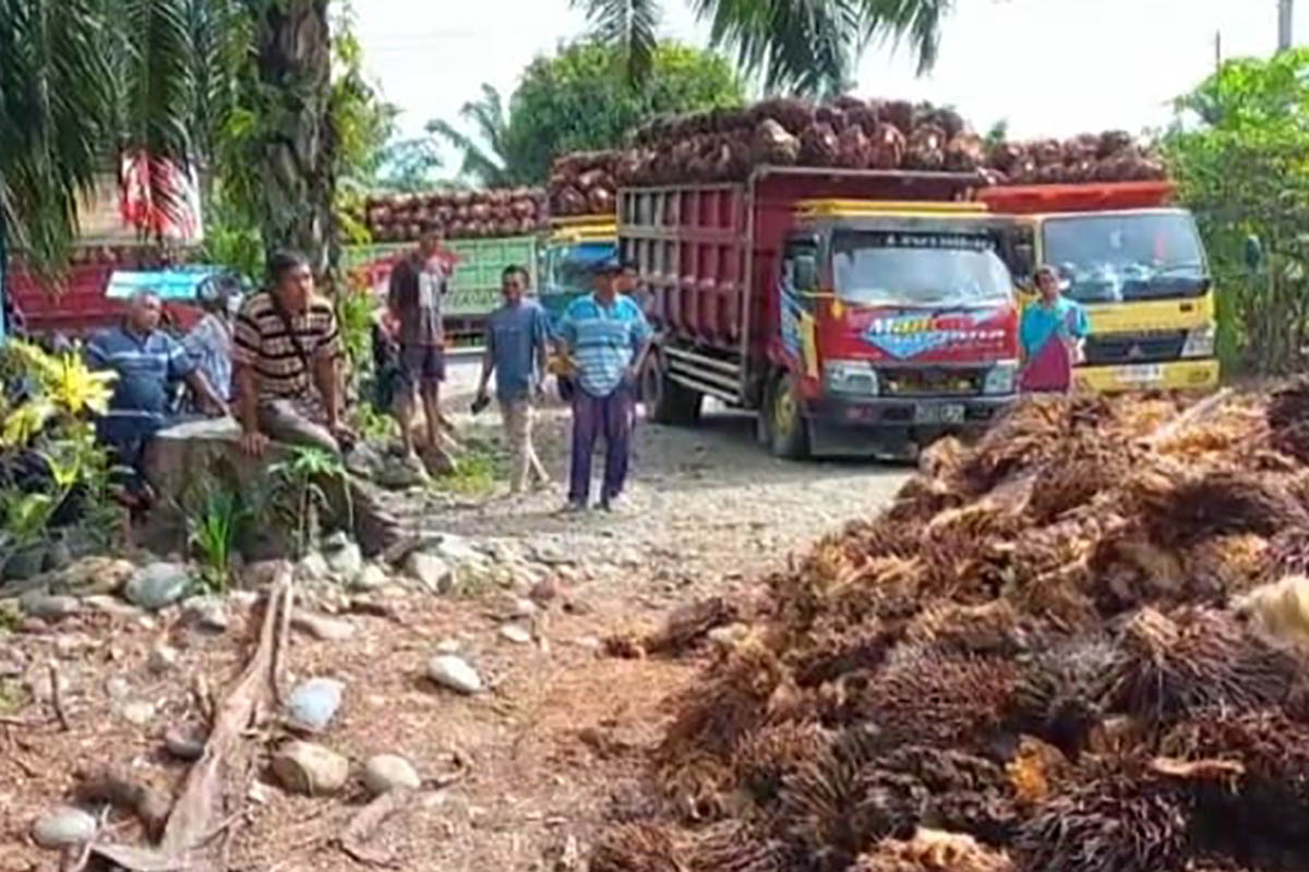 Bupati Mukomuko Pimpin Rapat Penyelesaian Jalan Menuju PT MMIL