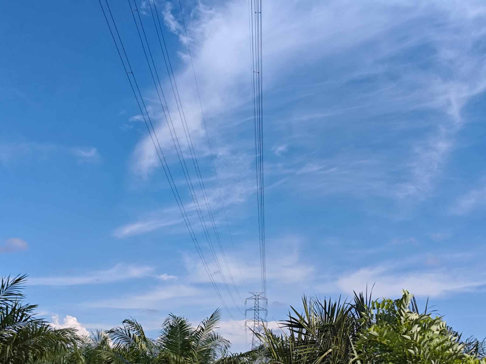 BREAKING NEWS, Listrik Padam Dari Bungus Padang Hingga Mukomuko, Ini Penyebabnya