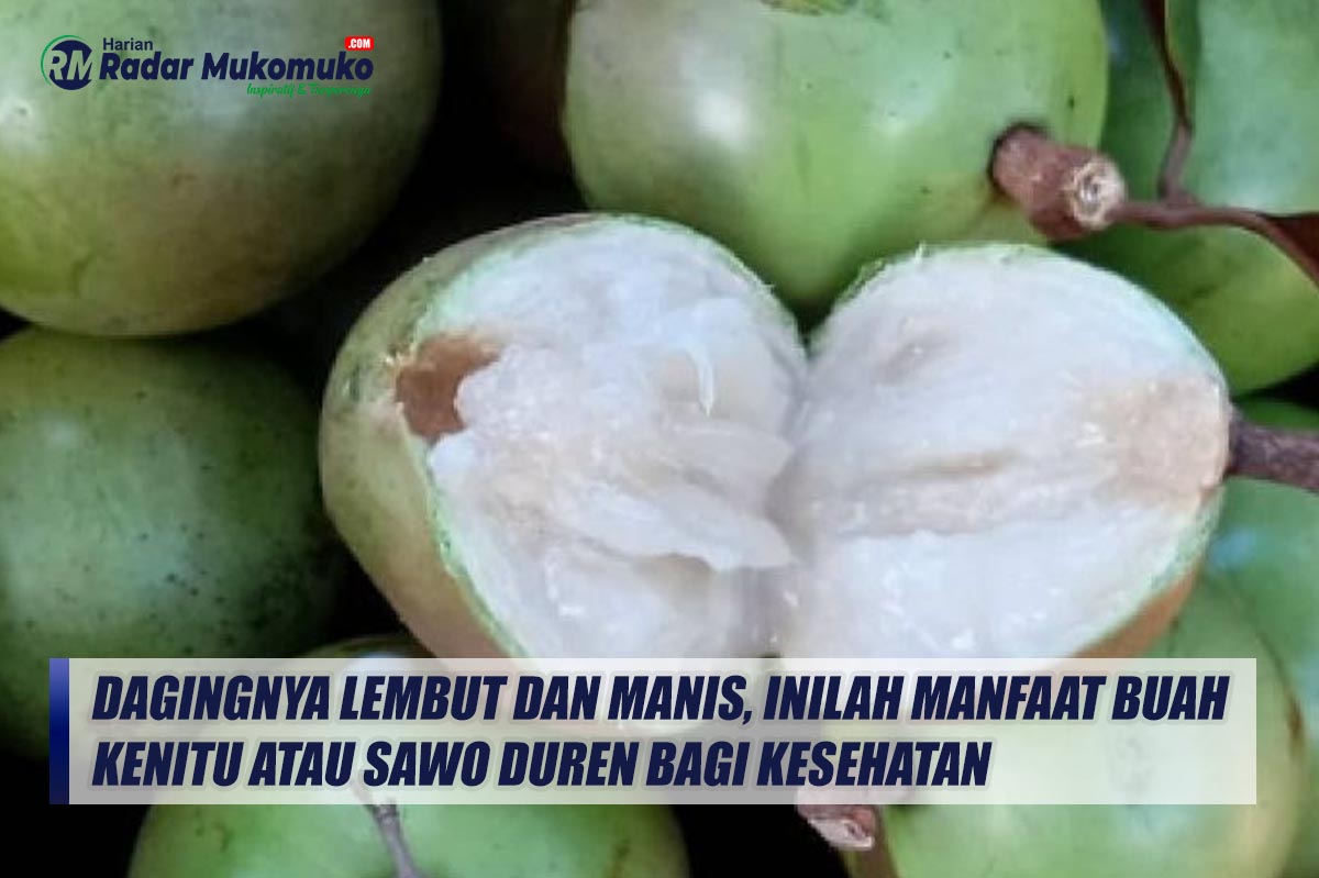 Dagingnya Lembut dan Manis, Inilah Manfaat Buah Kenitu Atau Sawo Duren bagi Kesehatan