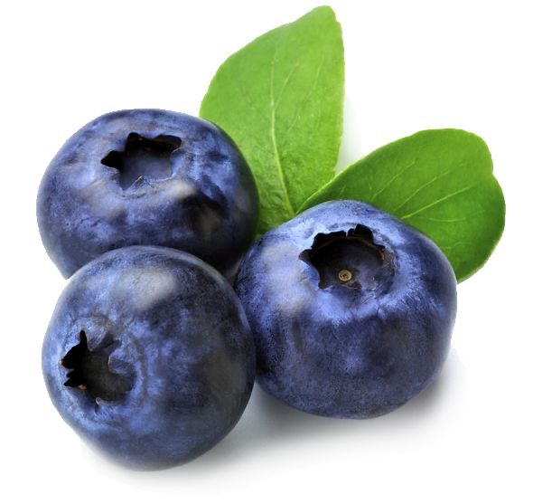 Blueberry: Buah Super yang Penuh Antioksidan untuk Tubuh yang Lebih Sehat!