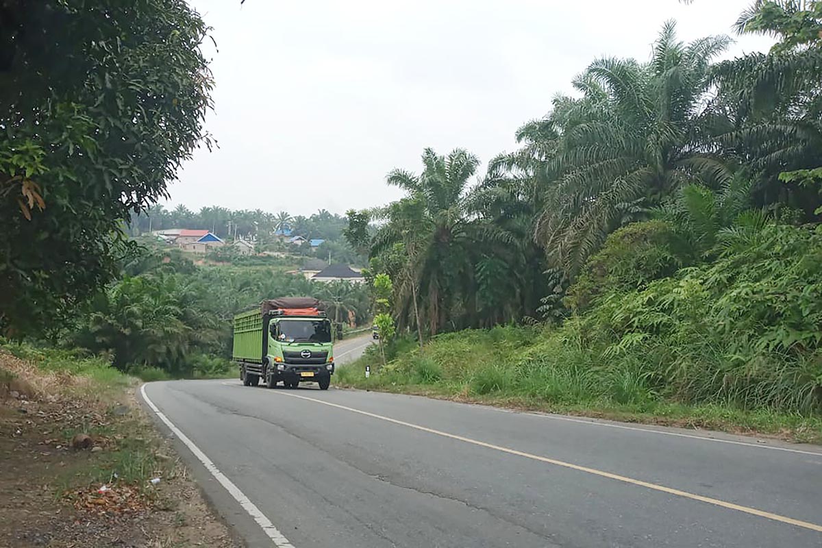 Bukit Ampera di Jalur Lintas Barat Mukomuko Tersohor Paling Mengerikan, Ada Apa dengan Tanjakan Itu ?