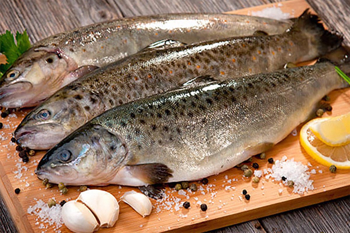 Mengonsumsi Ikan yang Mengandung Merkuri Tinggi, Bisa Picu Penyakit dan Kesehatan Bayi