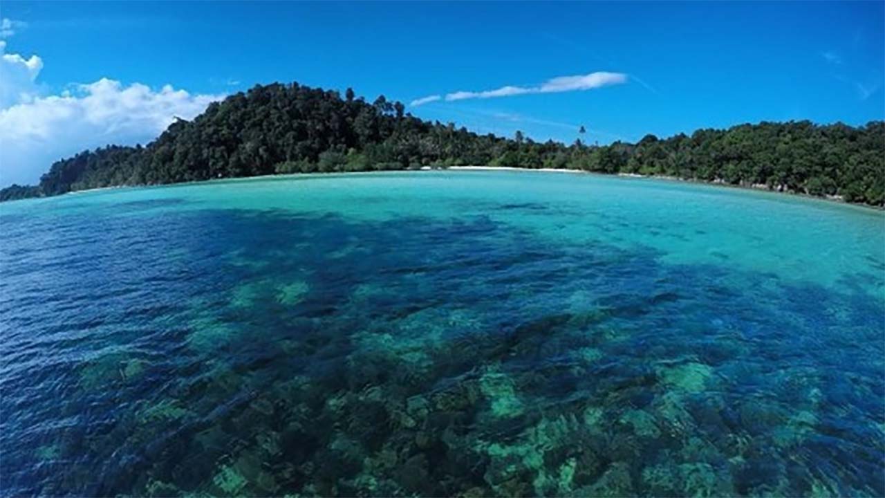 Pesona Keindahan Alam Bawah Laut yang Memukau di Pulau Abang