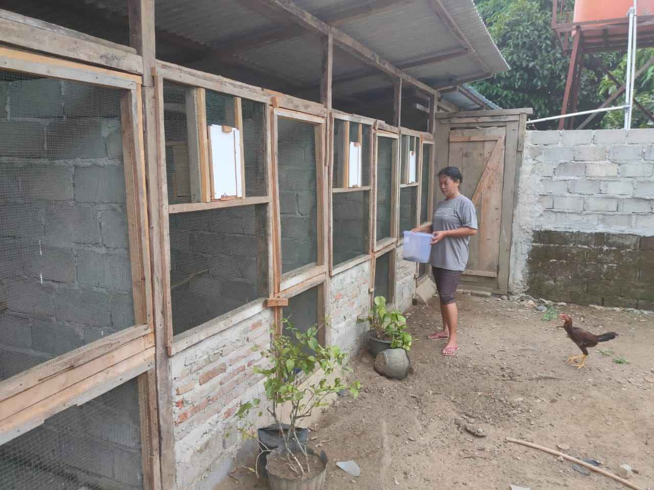 Kades Lubuk Mukti Sukses Ternak Burung Murai Batu