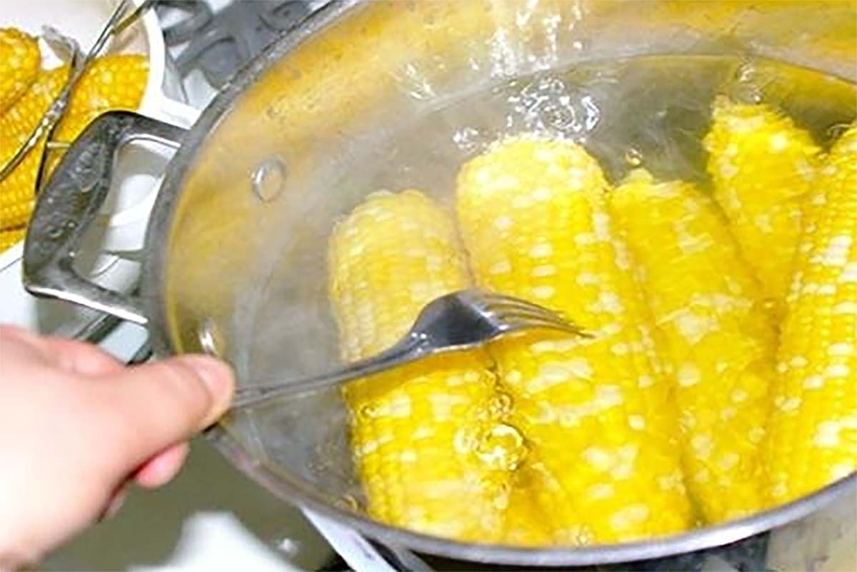 Cara Merebus Jagung Agar Masak Merata, Empuk dan Rasanya Manis