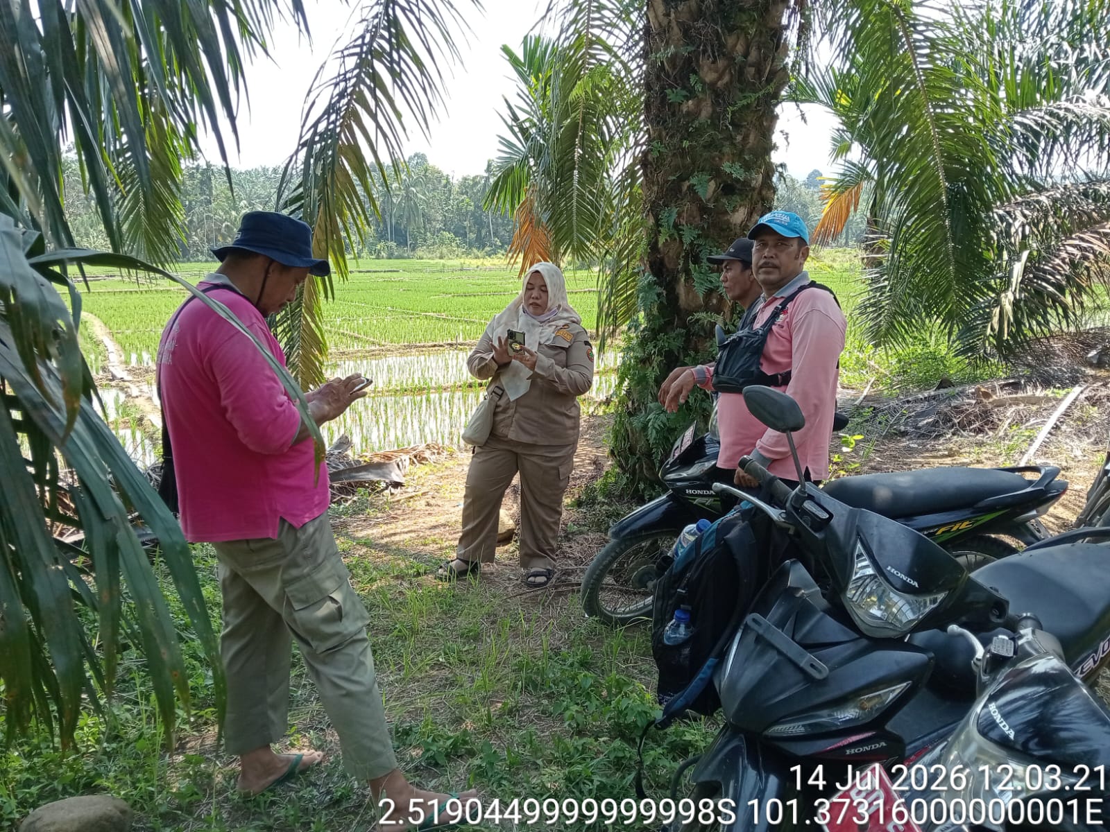 Investor Masuk, Kesejahteraan Petani Sawah di Mukomuko Ditargetkan Meningkat