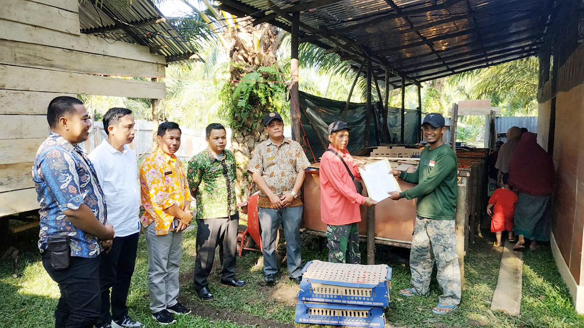 ﻿Kembangkan 1000 Ayam Kampung 