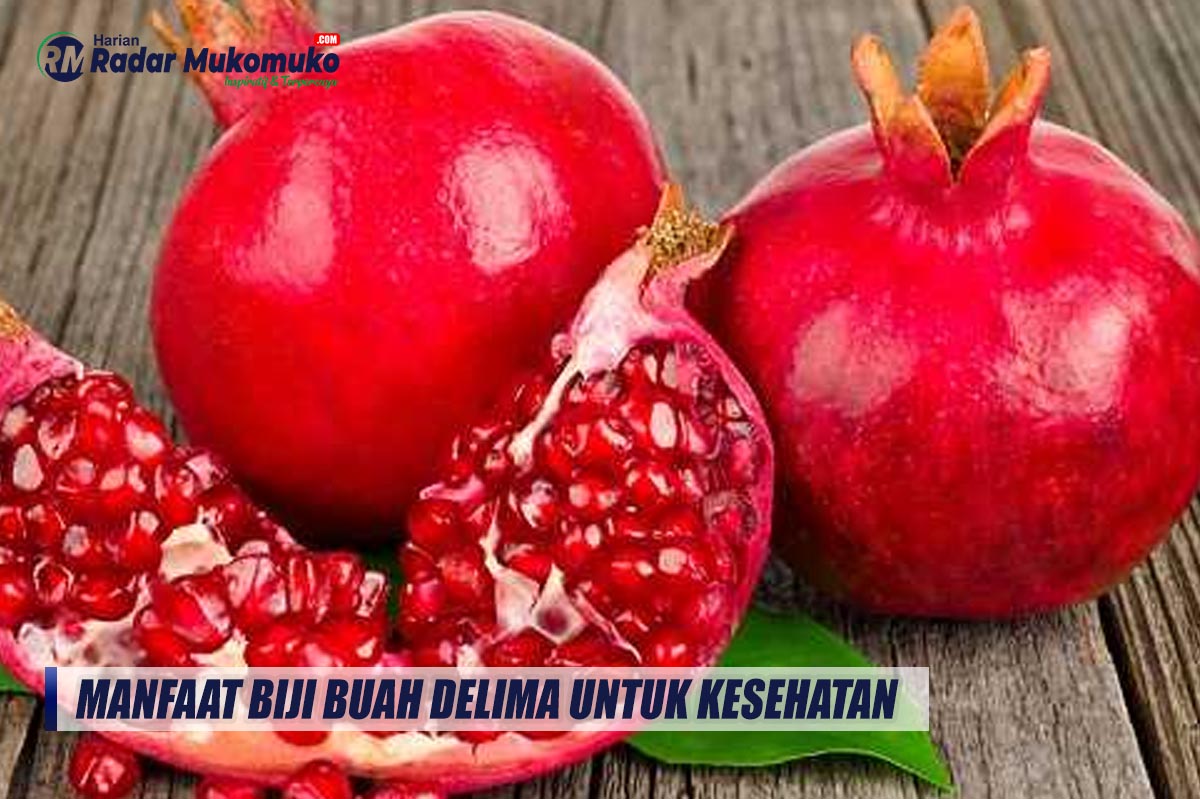 Jangan Dibuang, Inilah Manfaat Biji Buah Delima Bagi Kesehatan Tubuh