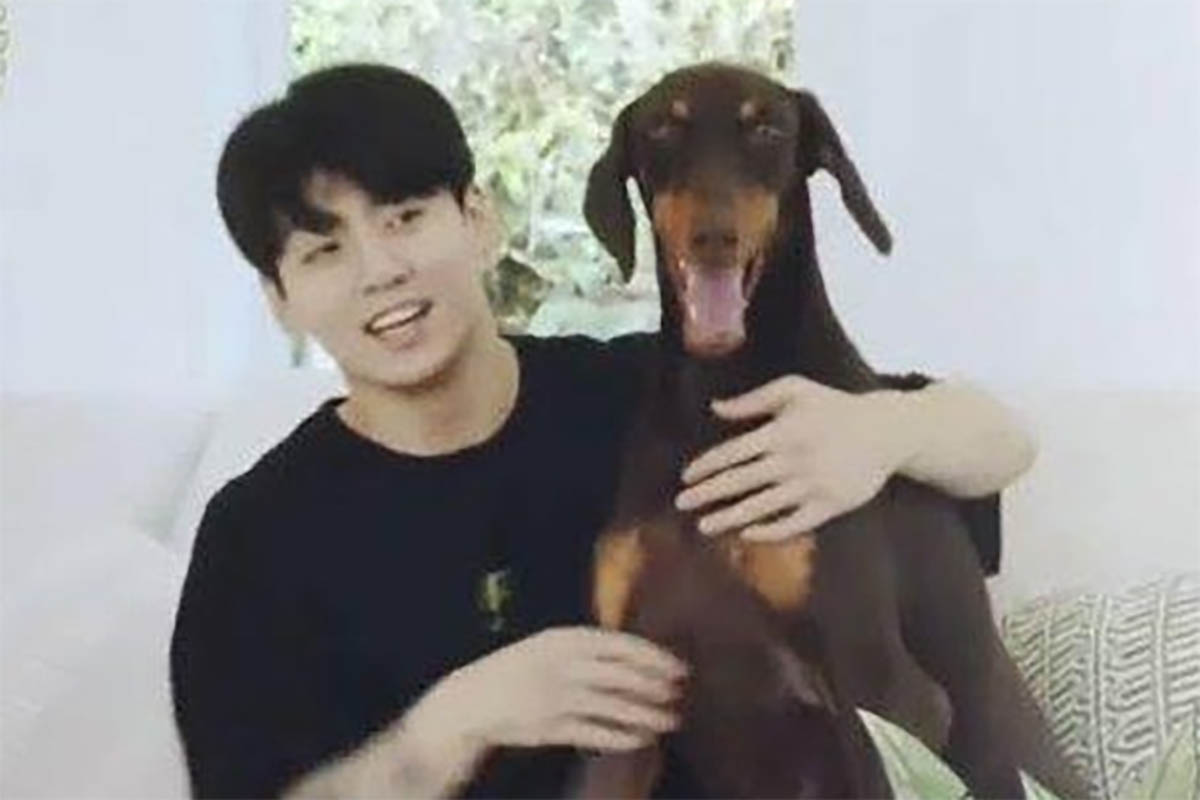 Membagikan Momen Dengan Anjing Peliharaannya, Jungkook BTS, Tuai Pujian Karena Melakukan Hal Ini