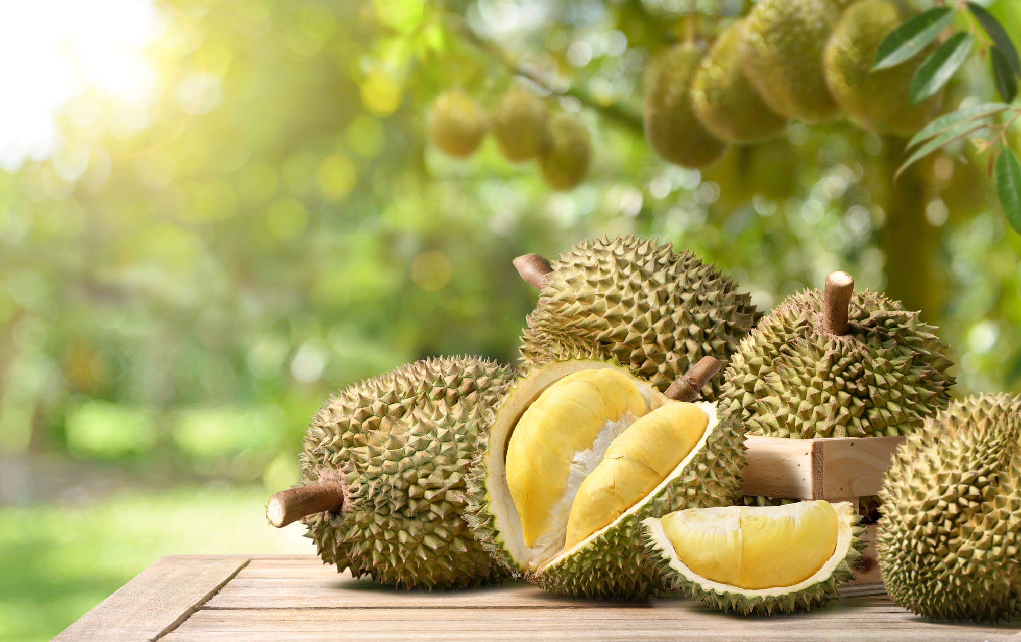 Buah Durian Mengandung Ini, Sehingga Penderita Tensi Dilarang Mengonsumsinya