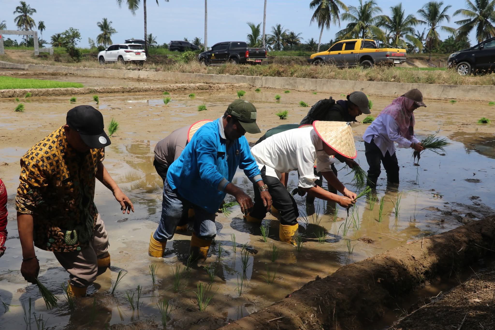 Tingkatkan Hasil Panen, Distan Ajak Petani Mukomuko Gunakan Pupuk Organik