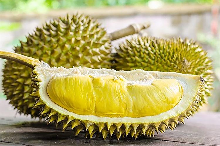 Mengonsumsi Durian Bisa Menambahkan Kadar Kolesterol? Simak Faktanya Berikut