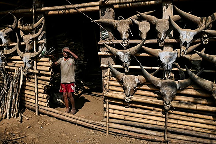 Suku Lainong Buktikan Kehebatan Dengan Menebas Musuh, Berhak Mendapat Tato Pria Sejati