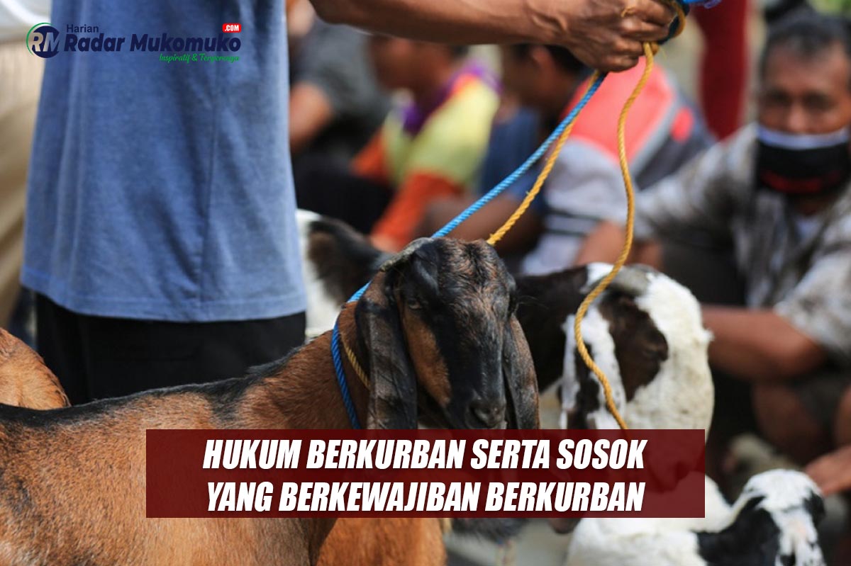 Catat, Inilah Hukum Berkurban serta Sosok yang Berkewajiban Berkurban