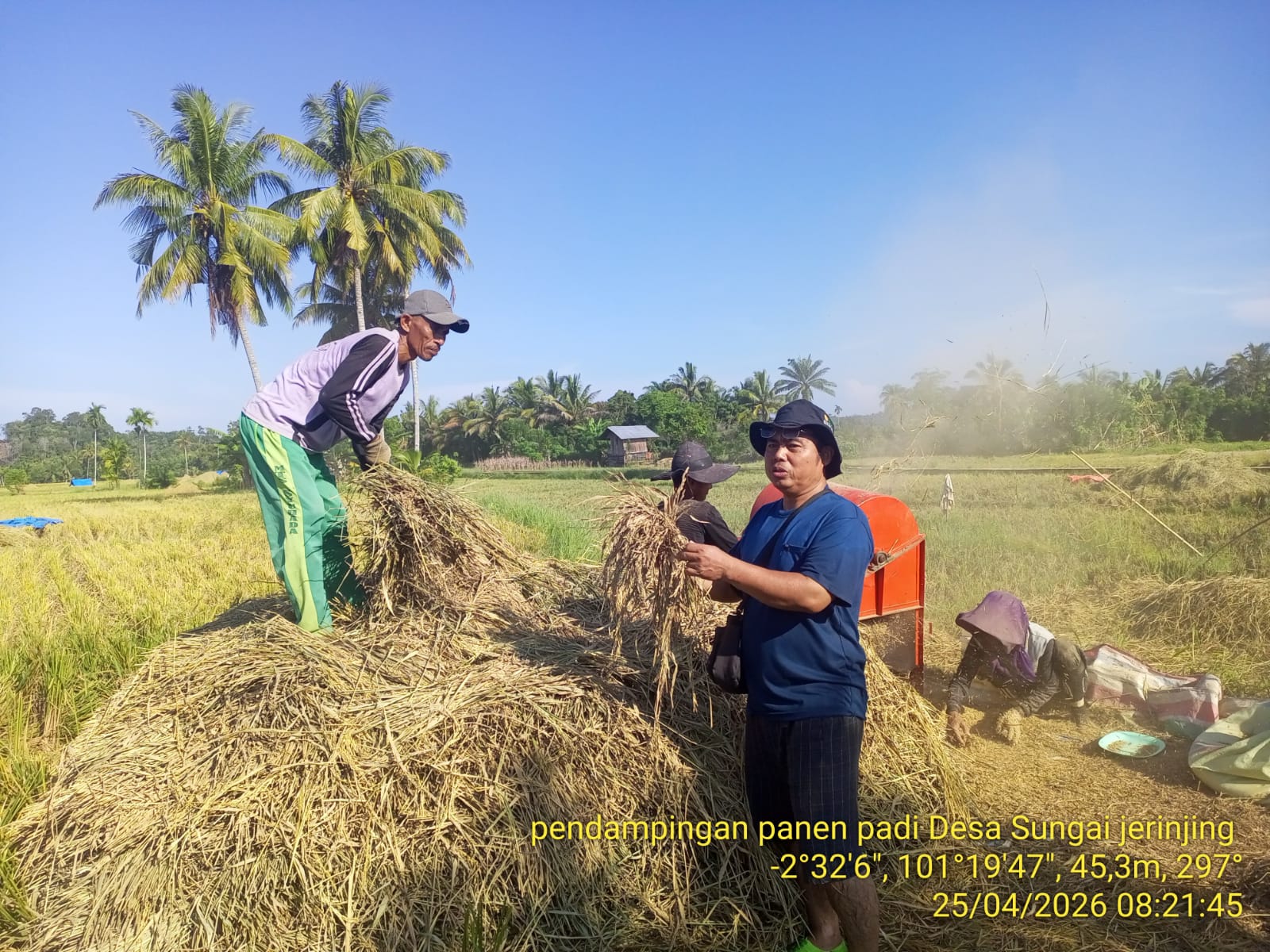 Tengkulak Patuhi HPP, Harga Gabah Tertinggi di Selagan Raya Capai Rp6.800 per Kilogram