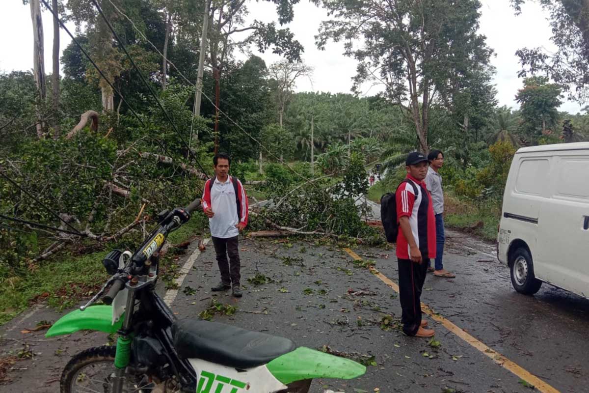 Hujan Badai, Listrik Padam, Jalinbar Kuburan Bunga Tanjung Terputus, Penyebabnya Ngeri