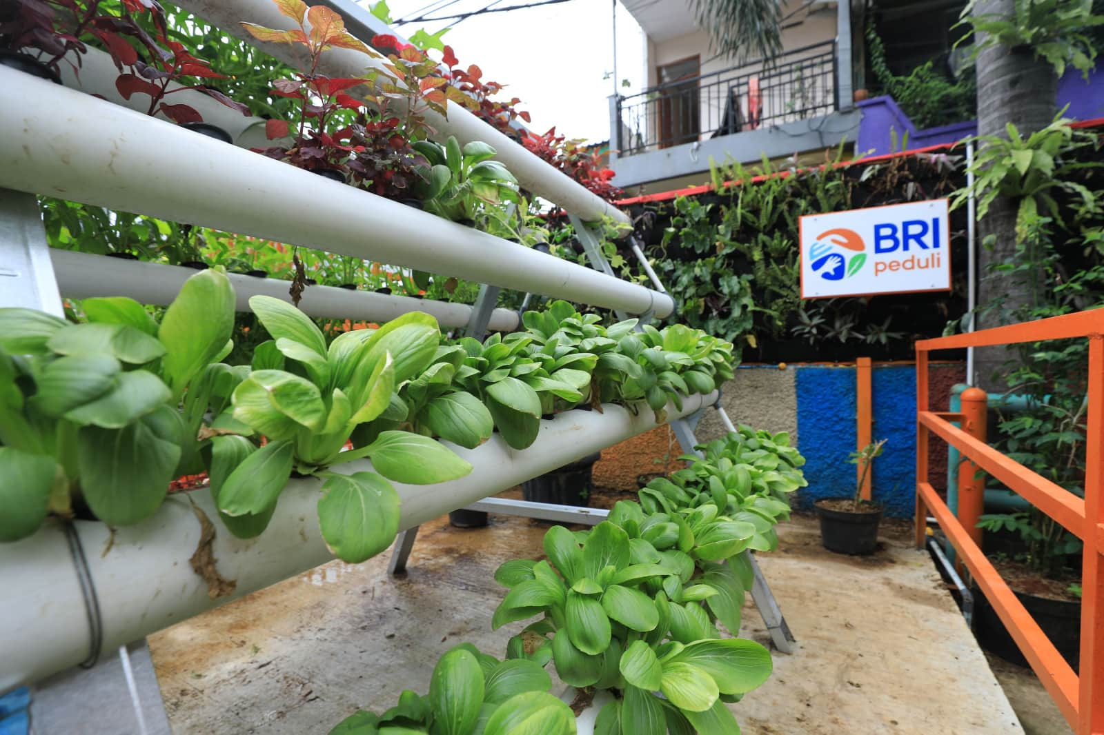 Menyusuri Kampung Palm Eco Green Village Malang, Makin Asri Berkat Program BRInita