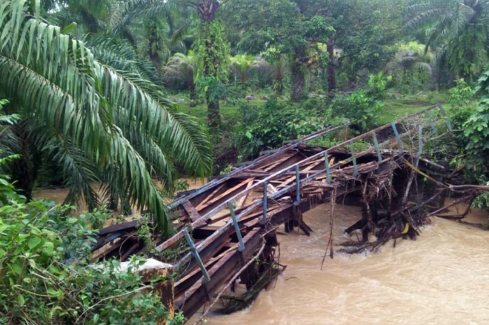 Dua Unit Jembatan dan Ruas Jalan di Mukomuko Putus Dihantam Banjir