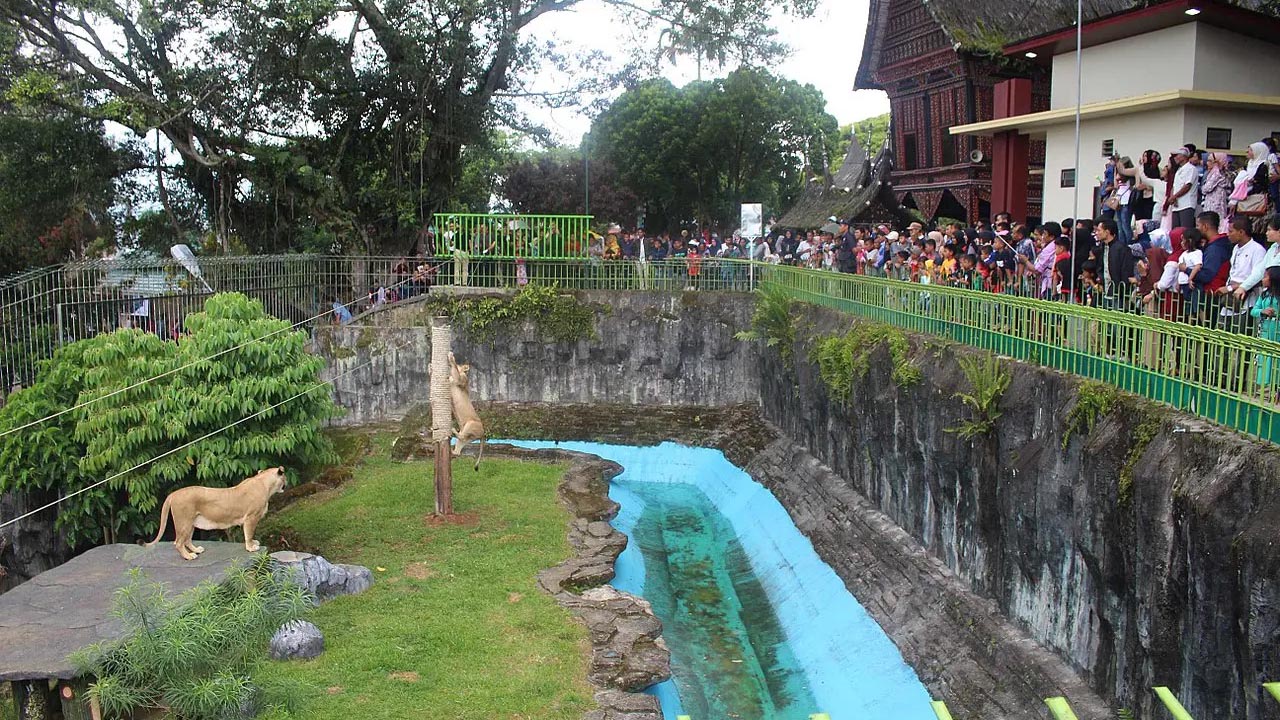 Taman Margasatwa Tertua Indonesia, Sejarah Berdirinya Kebun Binatang Bukittinggi