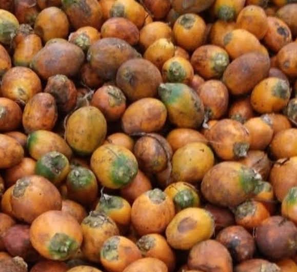 4 Manfaat Buah Pinang yang Belum Banyak Diketahui