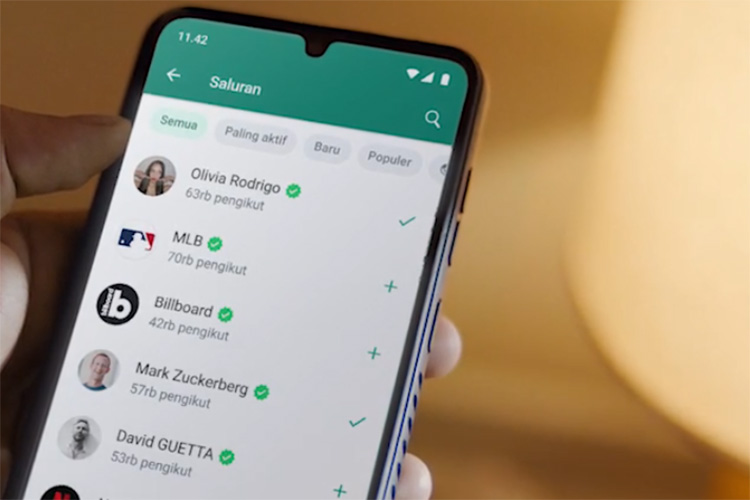 Melihat Fitur Baru Resmi dari WhatsApp yaitu Fitur Channel, Apa Itu?