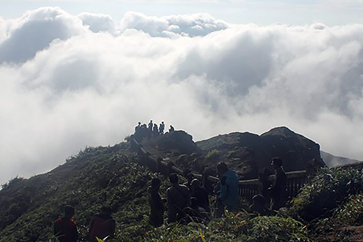 Berikut 4 Rekomendasi Wisata Alam di Bengkulu, Cocok Bagi Yang Hobi Mendaki dan Mengisi Waktu Liburan