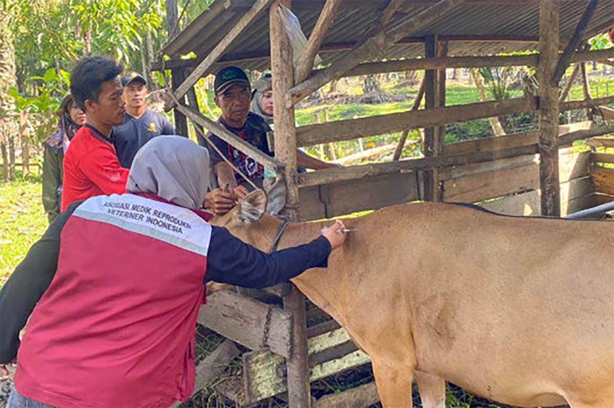 Dinas Pertanian Mukomuko Siagakan Personel Pantau Kesehatan Hewan Kurban di Hari Raya Idul Adha 2024    