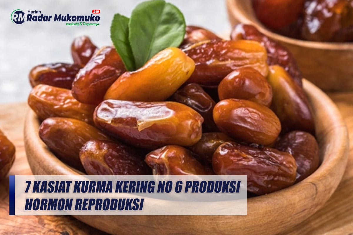 7 Khasiat Kurma Kering No 6 Produksi Hormon Reproduksi 