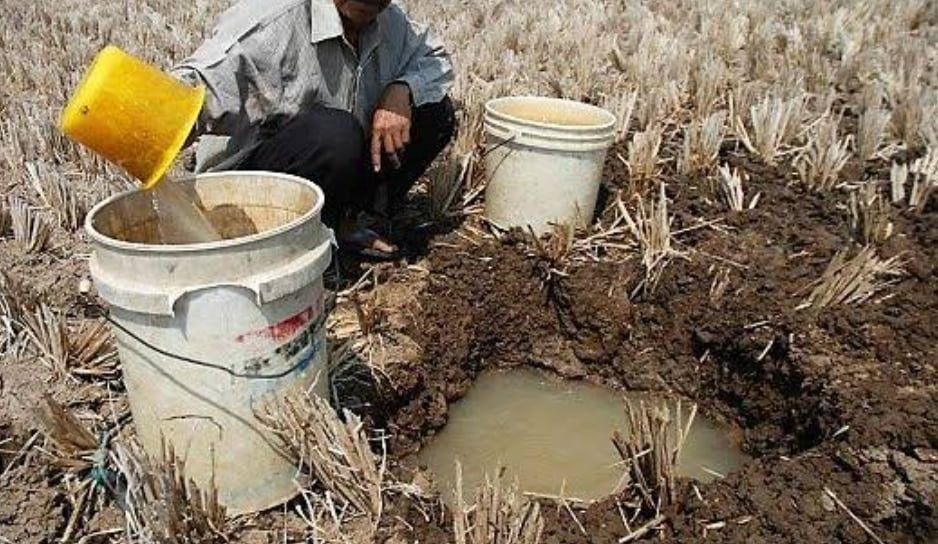 Mengurangi Dampak El Nino Petani Lakukan Ini