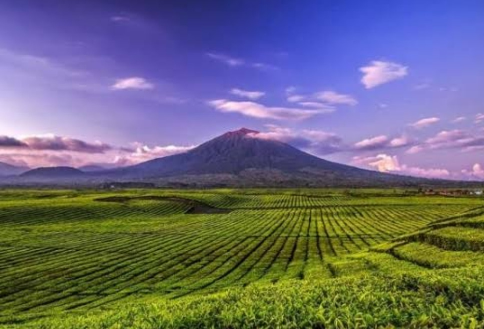 Negeri di Atas Awan, Destinasi Wisata Bumi Sakti Alam Kerinci Jambi Mendunia