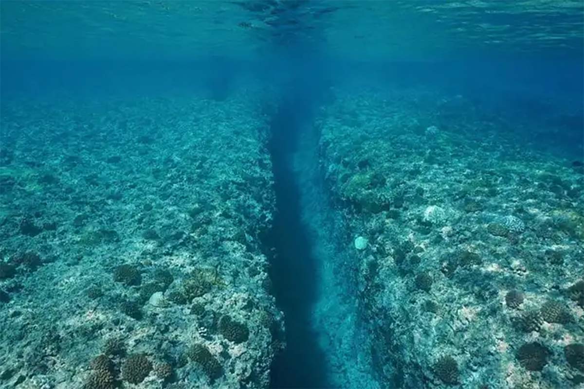 Mengenal Palung Laut serta Ciri-Ciri Palung Laut, Lembah Laut yang Menyeramkan dibalik Keindahan Laut