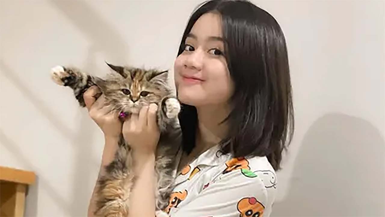 4 Trik Komunkasi yang Tepat agar Kamu Bisa Lebih Akrab dengan Kucing Peliharaanmu