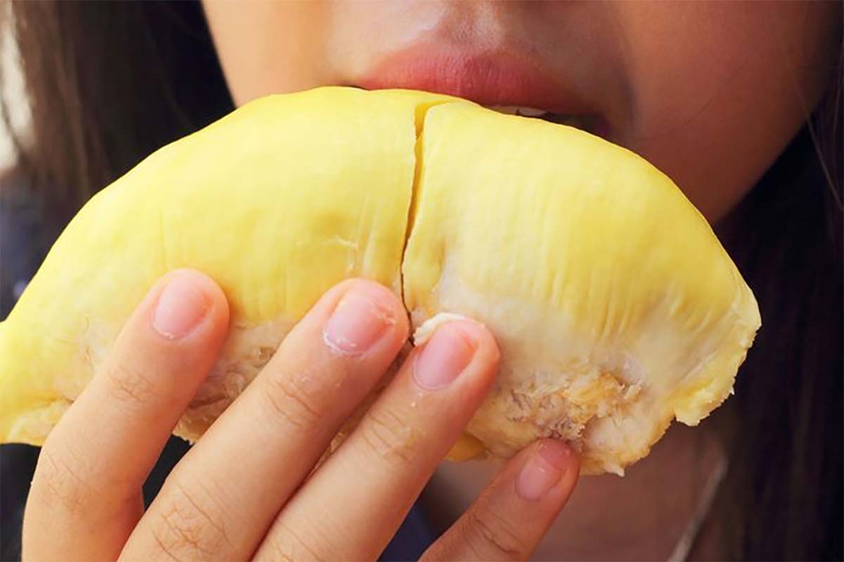 Bahaya Makan Durian Untuk Kesehatan, Bikin Mabuk Hingga Bisa Mematikan Jika Dicampur Ini