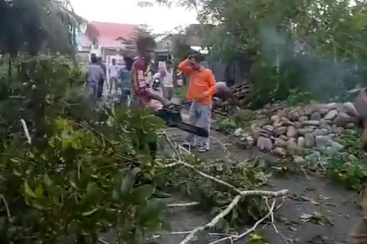 Pohon Tumbang Ganggu Akses Jalan di Mukomuko Sudah Ditangani 