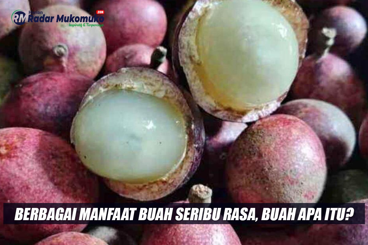 Berbagai Manfaat Buah Seribu Rasa, Buah Apa Itu? Simak Ulasannya Berikut Ini