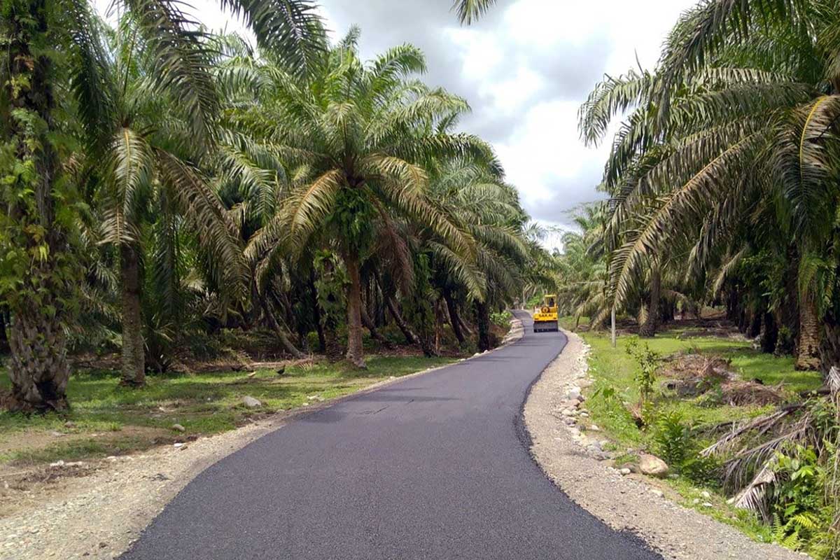 Masyarakat Harus Tahu, Ini 4 Ruas Jalan Provinsi Bengkulu di Mukomuko